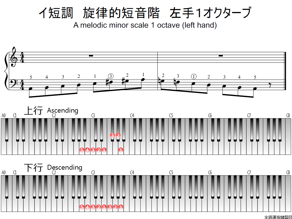 f1.-Am-melodic-LH1-whole-view-plane