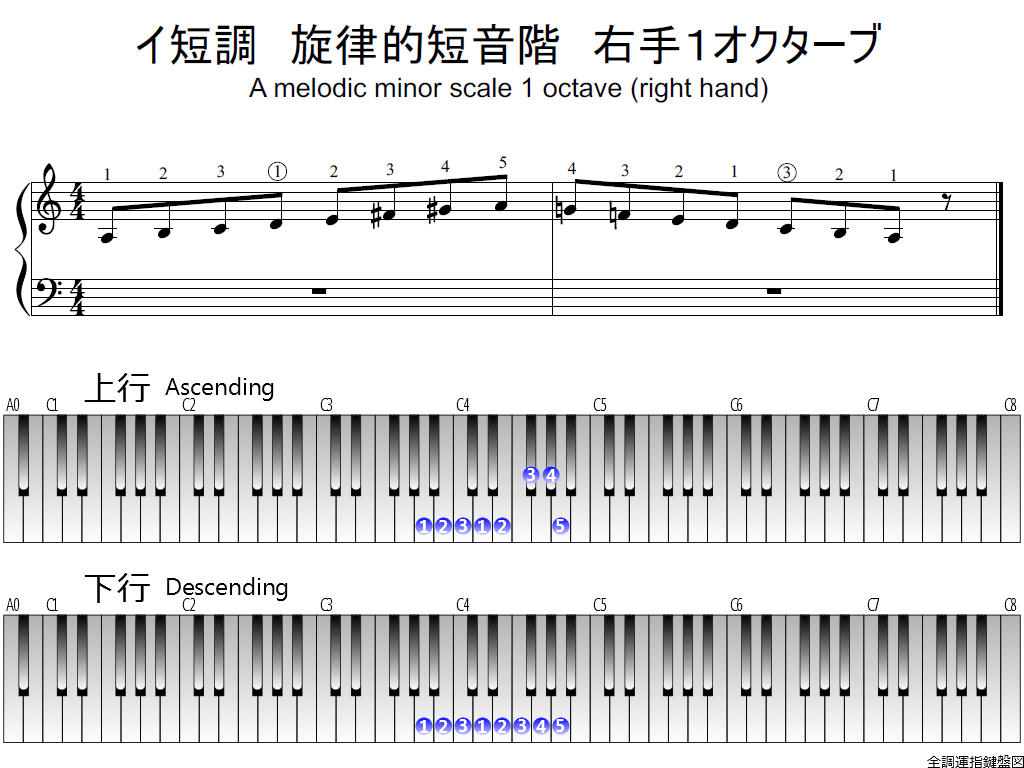 f1.-Am-melodic-RH1-whole-view-plane