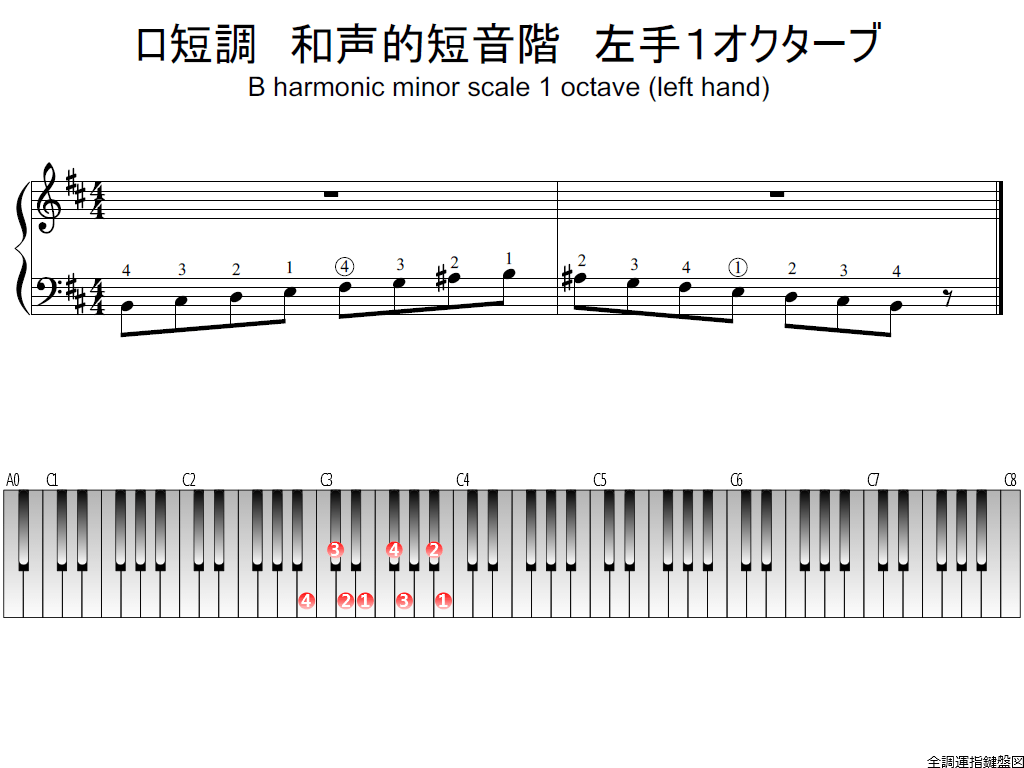 f1.-Bm-harmonic-LH1-whole-view-plane