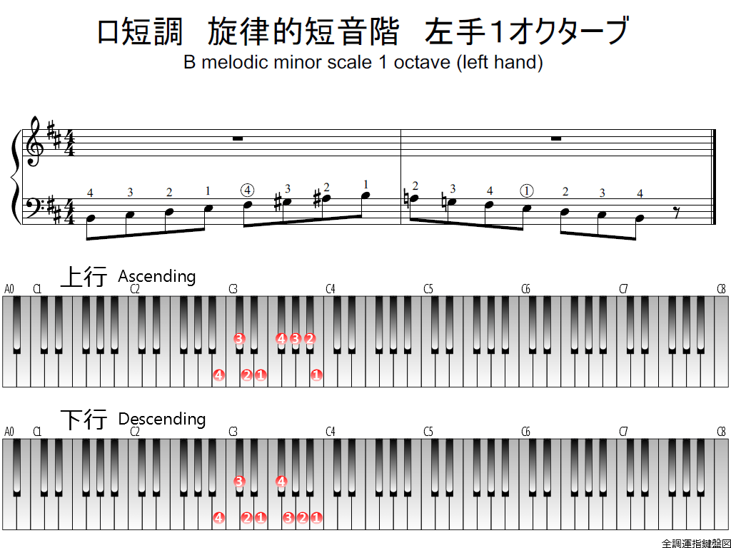 f1.-Bm-melodic-LH1-whole-view-plane