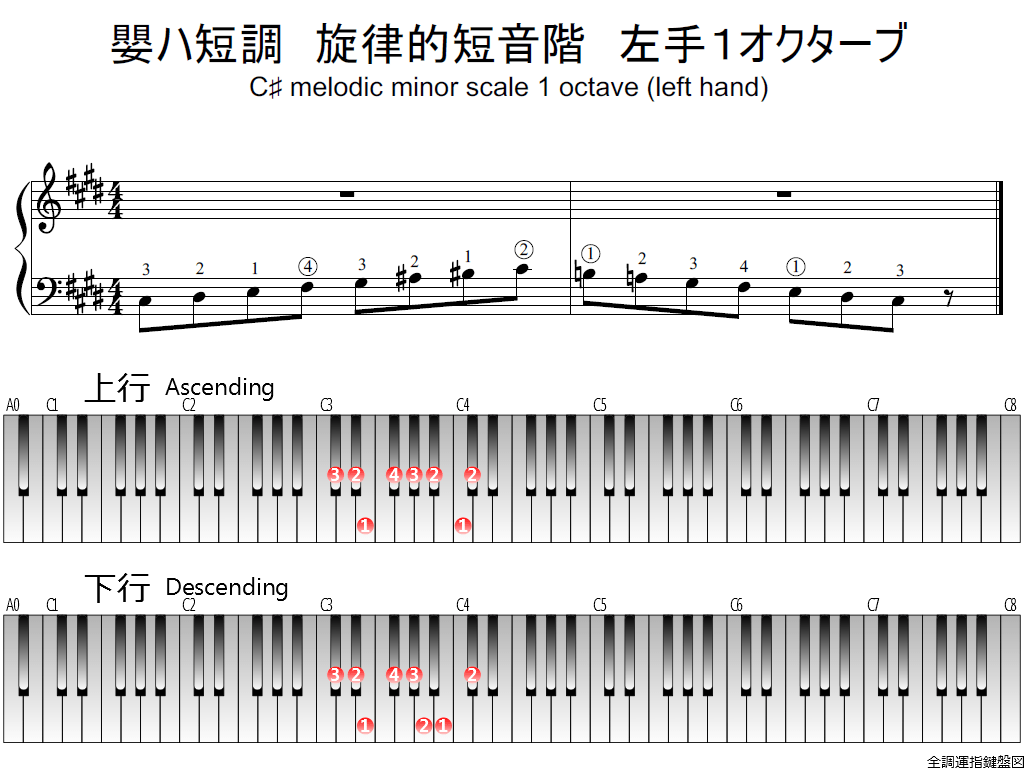 f1.-C-sharp-m-melodic-LH1-whole-view-plane